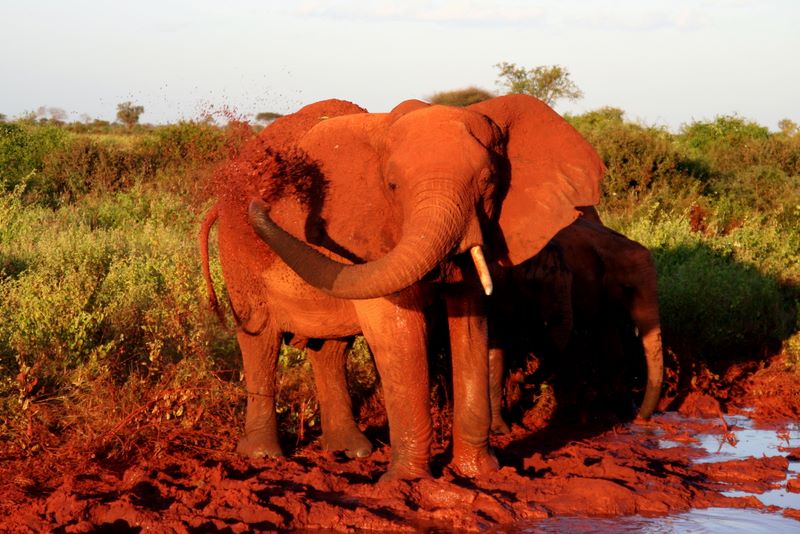 kenya_2007_0650